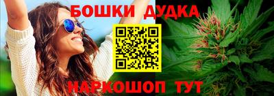 индика Владикавказ