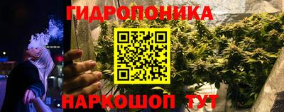 индика Владикавказ