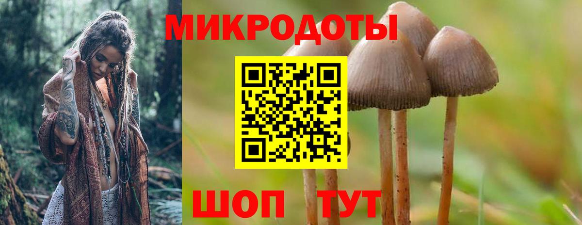 Видное  Галлюциногенные грибы мицелий  Вход с VPN 